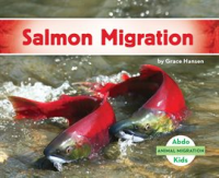 Salmon_Migration